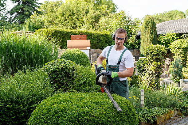 Best Firewood Processing and Delivery  in Pleasant Garden, NC